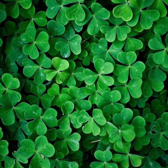 ๐๐ Happy Shopping ๐๐ - Picture 2 of 3